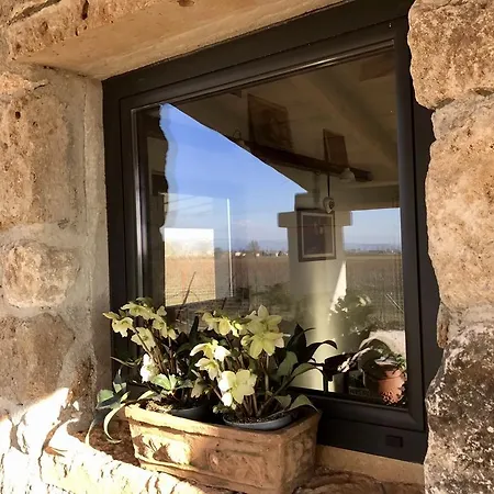 Holiday home Casa Vacanze La Vigna Lonigo