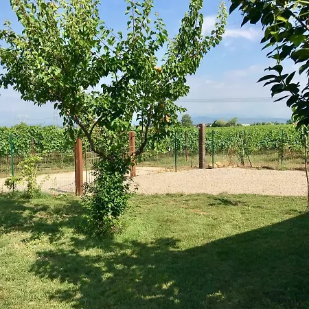 Casa Vacanze La Vigna Holiday home