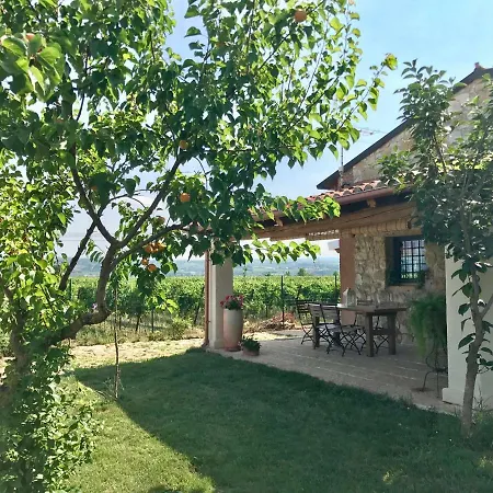 Casa Vacanze La Vigna Lonigo