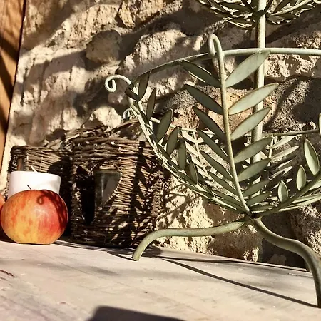 Casa Vacanze La Vigna *