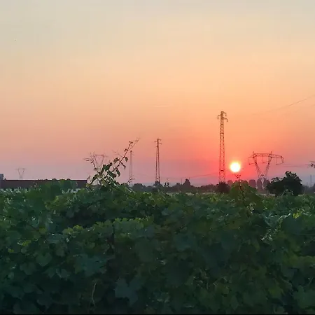 Casa Vacanze La Vigna 度假居 *